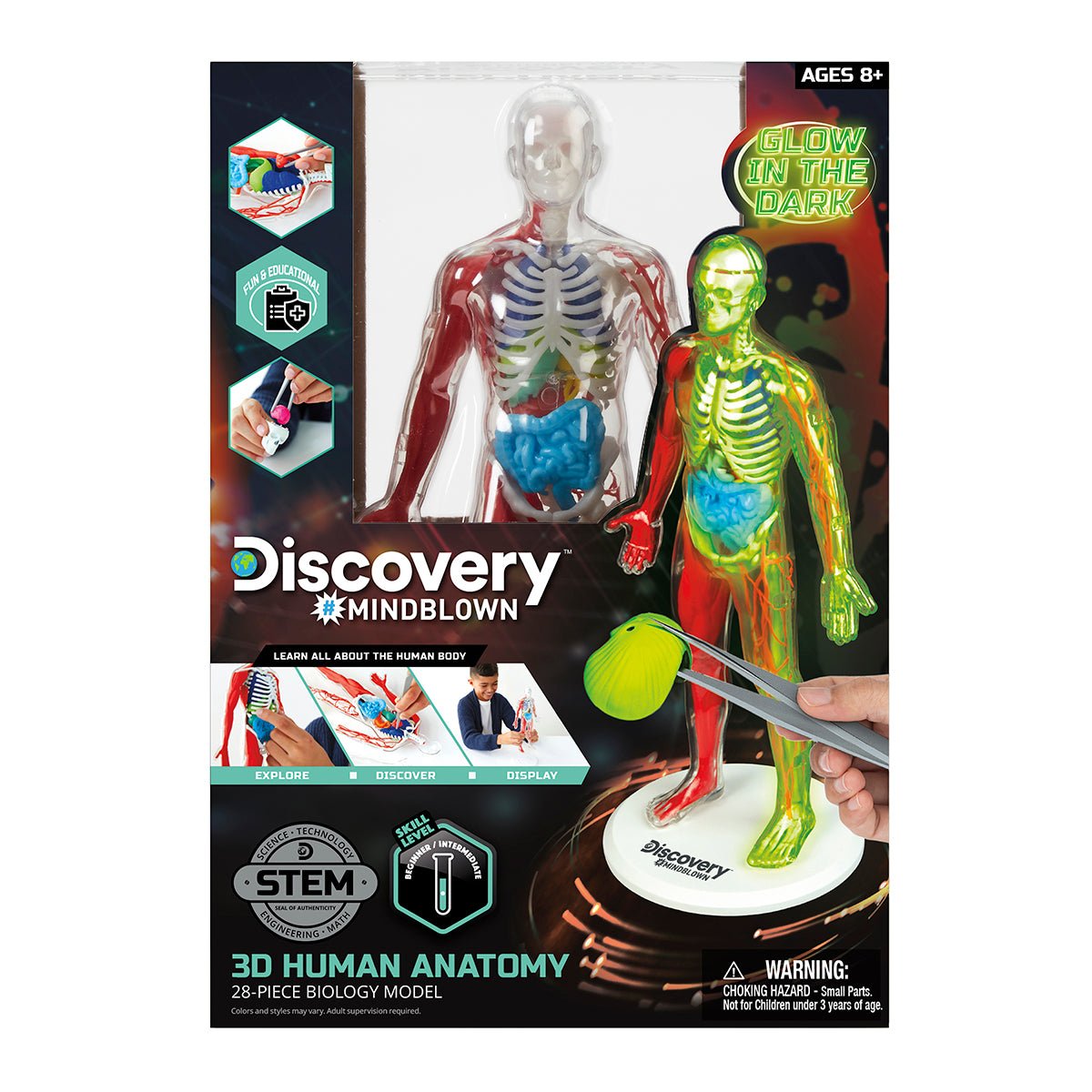 How is the Skeletal System Related to Play With Toys: Surprising Benefits Unveiled