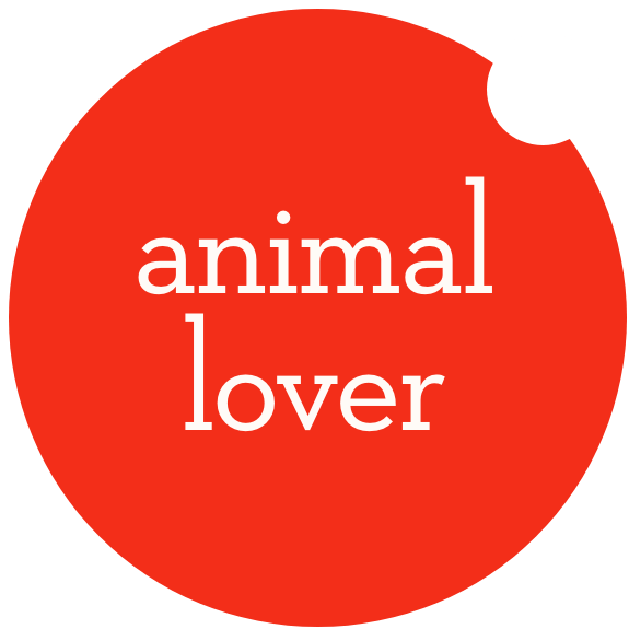 Gifts For Animal Lovers - Mastermind Toys