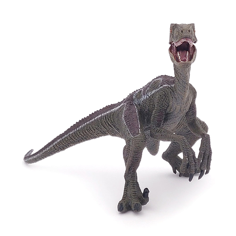 Velociraptor