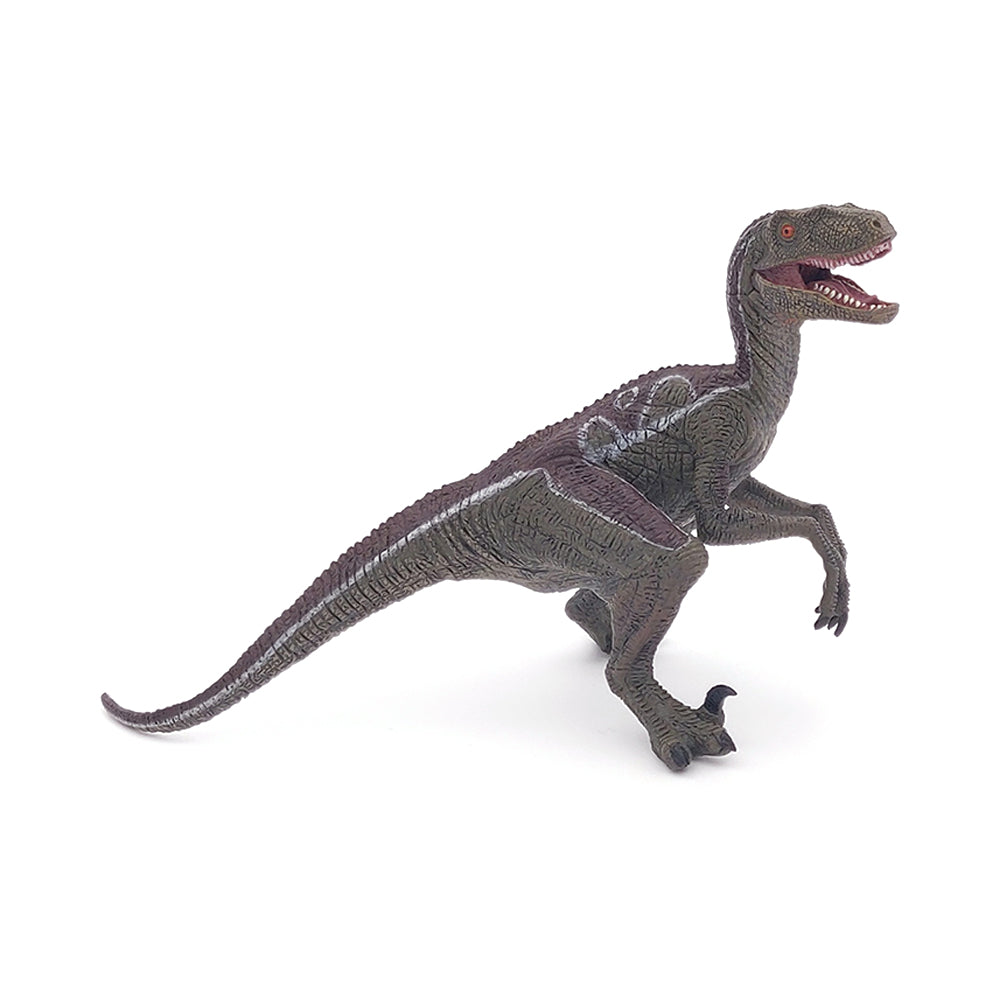Velociraptor