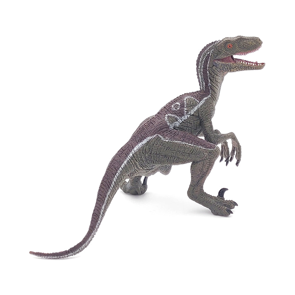 Velociraptor
