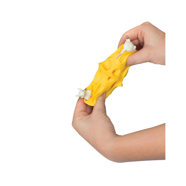 Stretchy Mice and Cheese Stress Toy