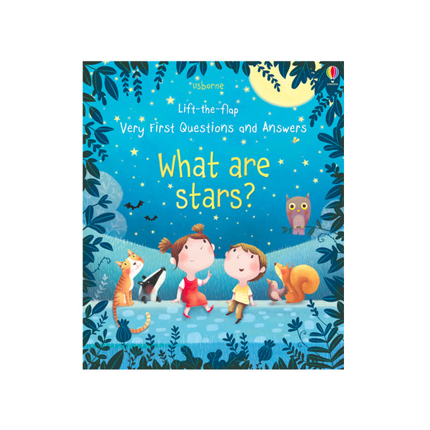 Usborne Lift-the-Flap Very First Questions and Answers: What Are Stars? Book