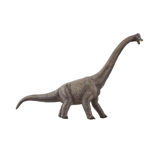 Mastermind Toys Brachiosaurus Figure Large