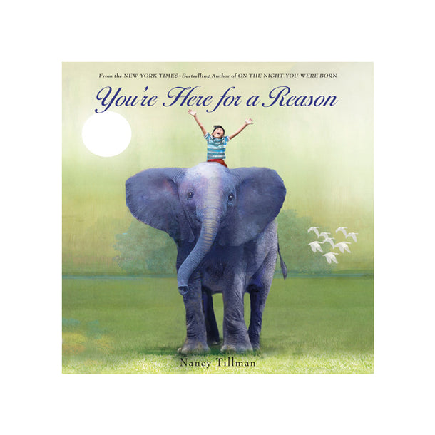 You're Here for a Reason Board Book