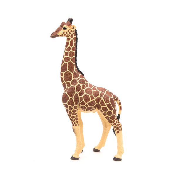 Papo Male Giraffe