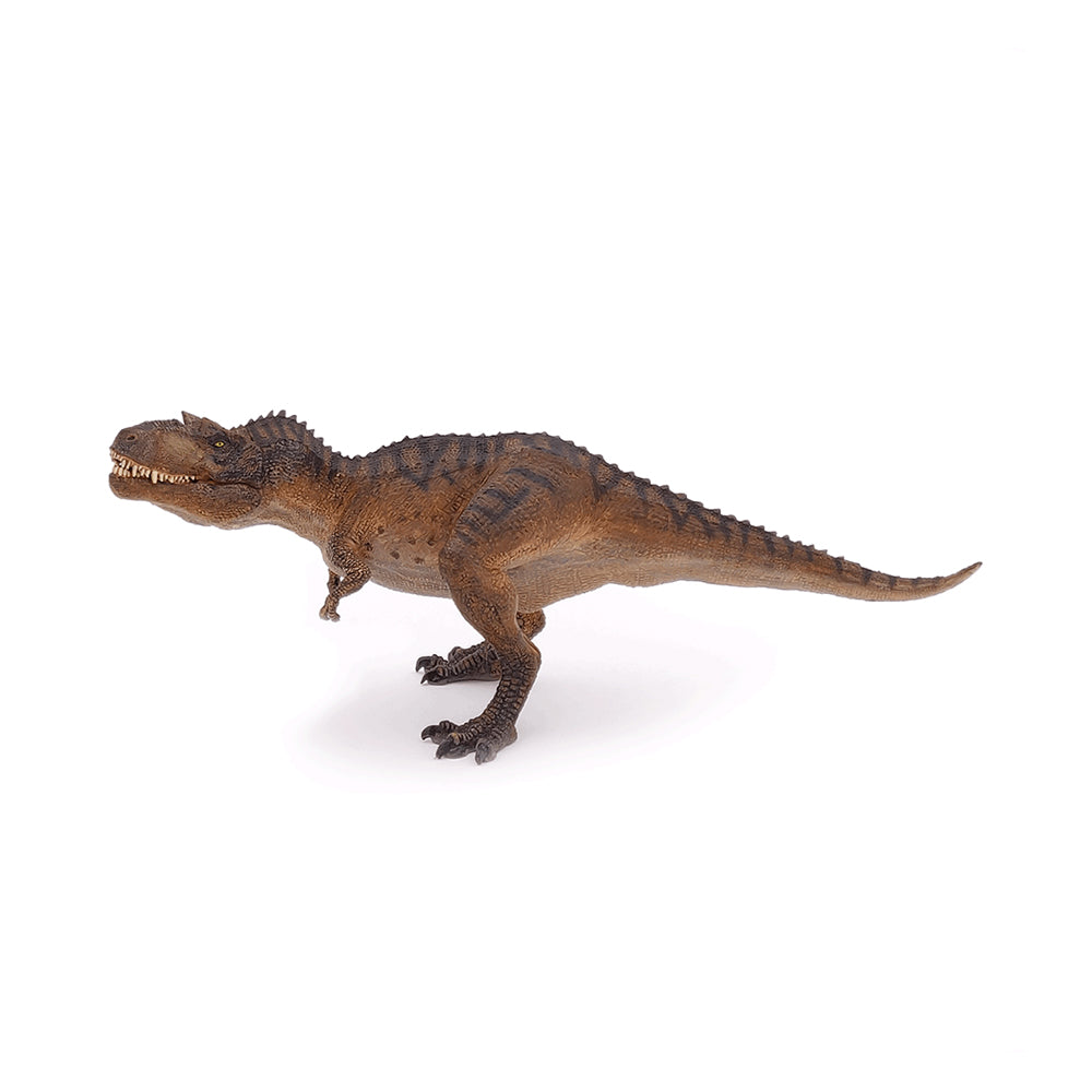 Gorgosaurus