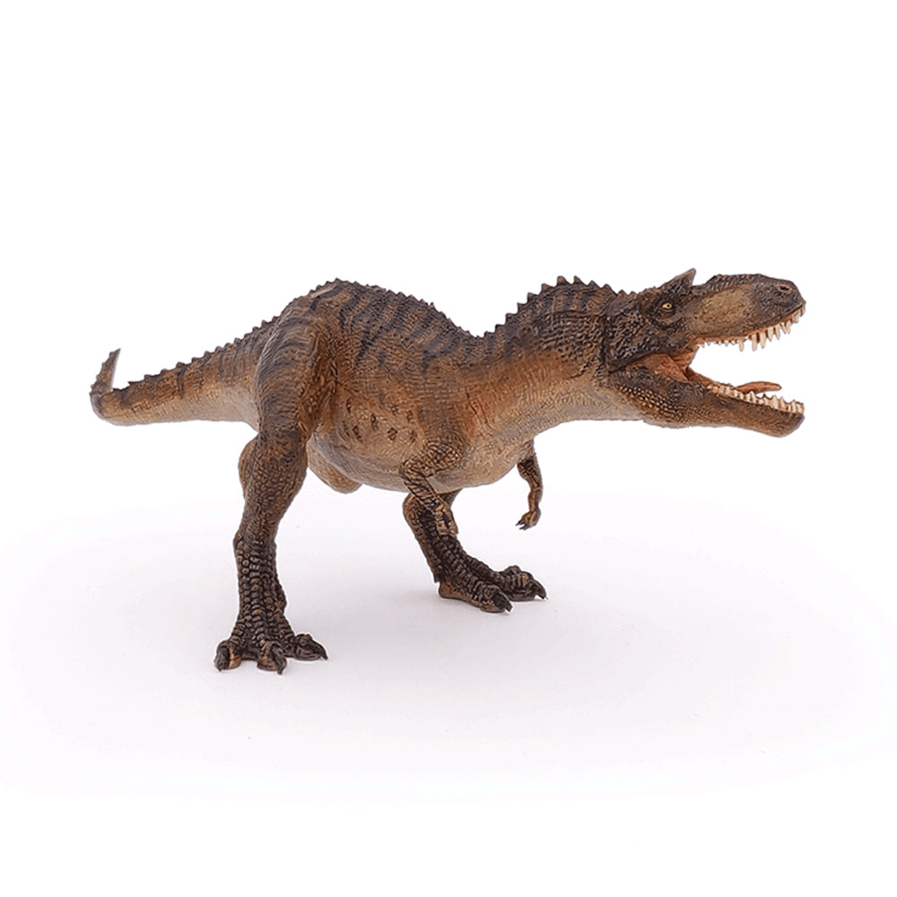 Gorgosaurus
