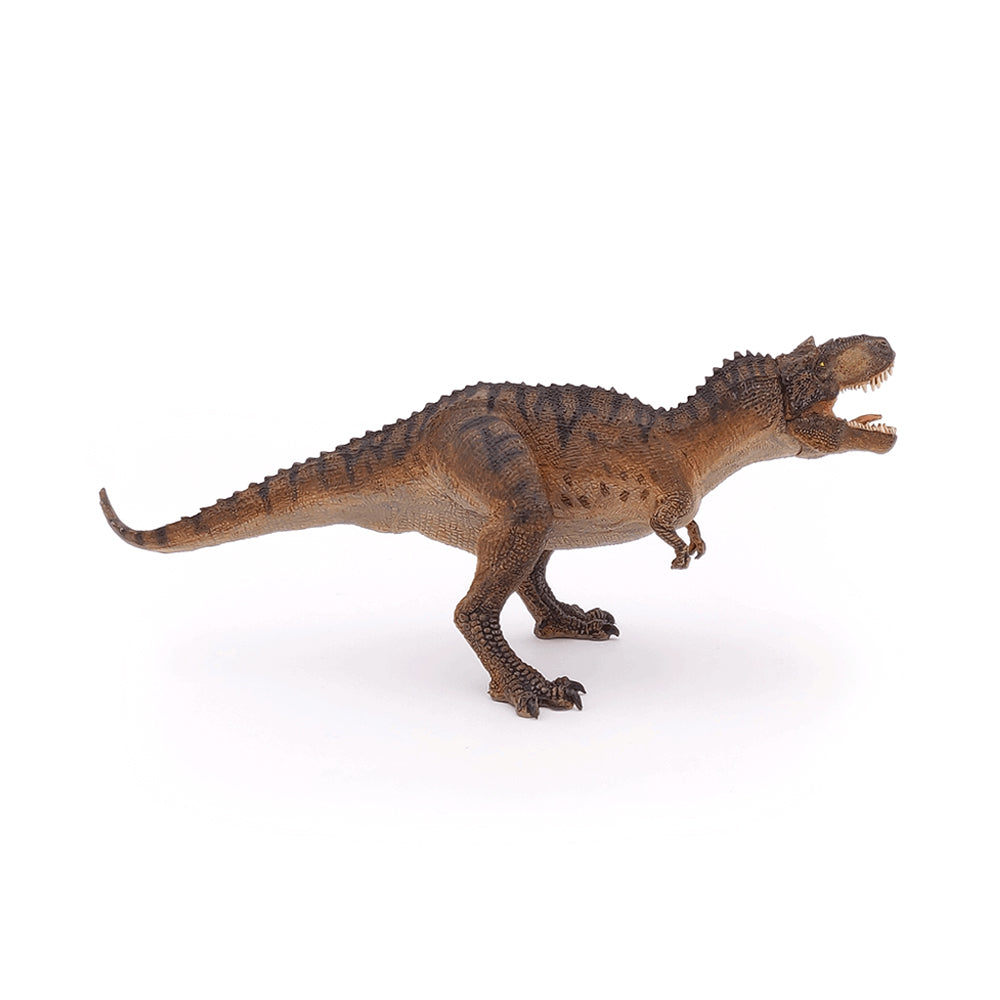 Gorgosaurus