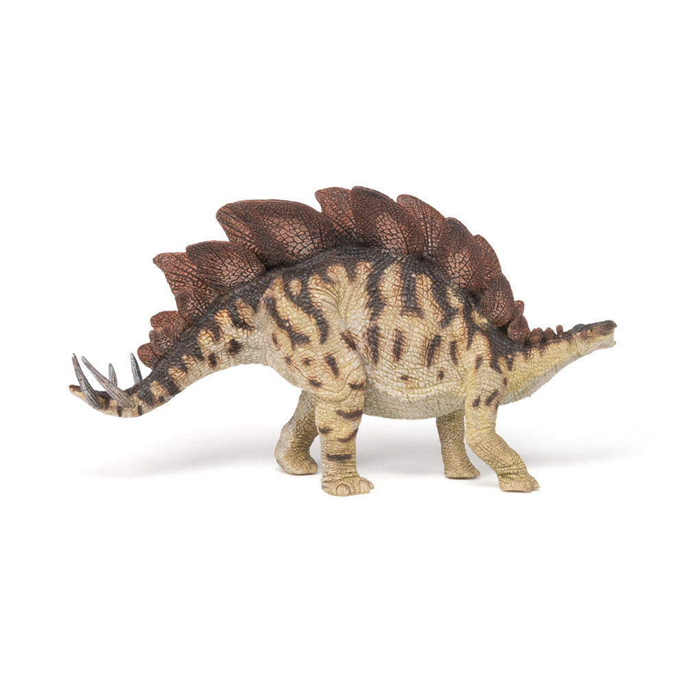 Stegosaurus