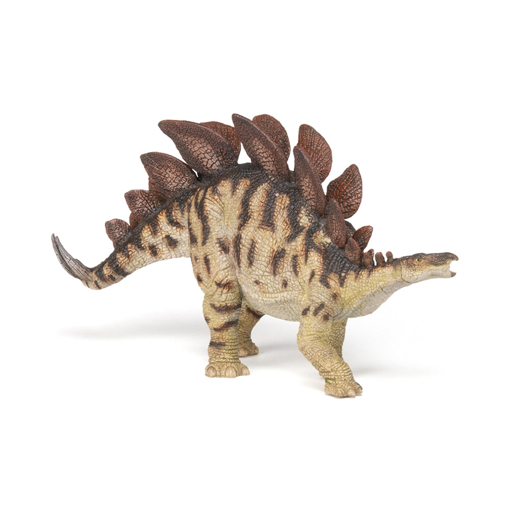 Stegosaurus