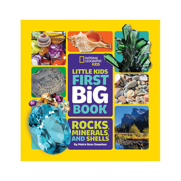 Little Kids First Book of Rocks, Minerals & Shells Book