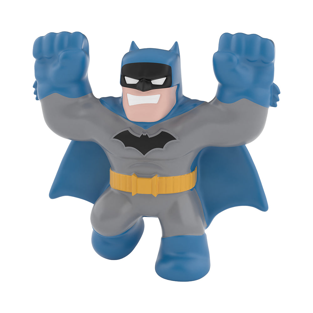 Heroes of Goo Jit Zu DC Heroes Minis Assorted