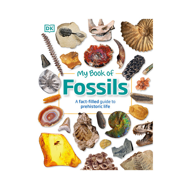 My Book of Fossils A fact-filled guide to prehistoric life Book