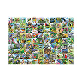 99 Delightful Birds 300pc Large Format Puzzle