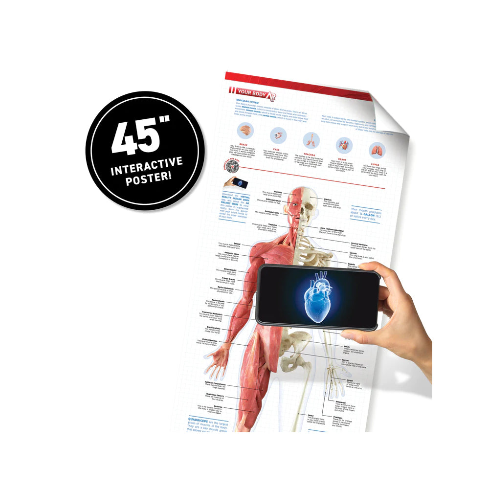 Human Body! VR Discovery Gift Box with DK Book