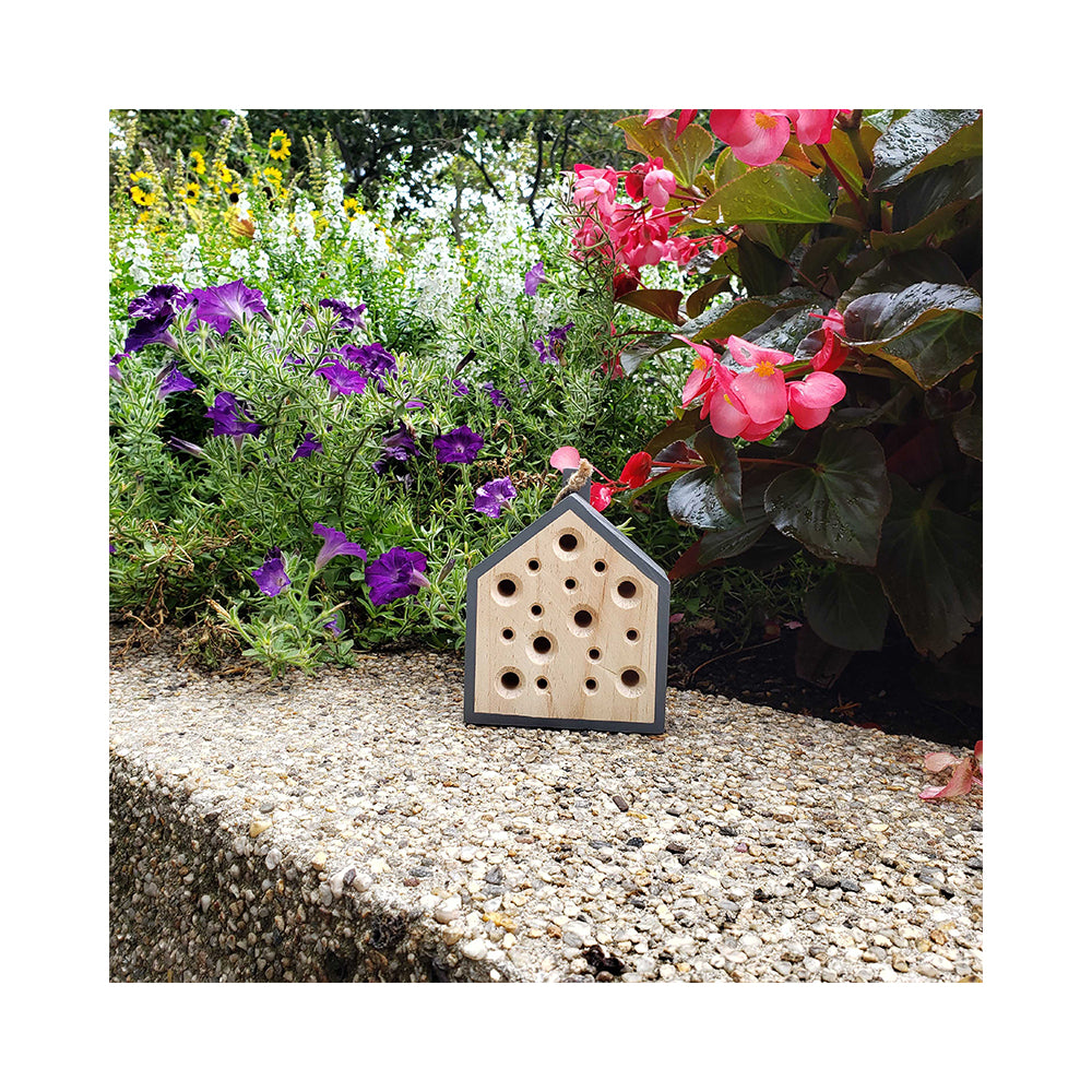 Little Bee House