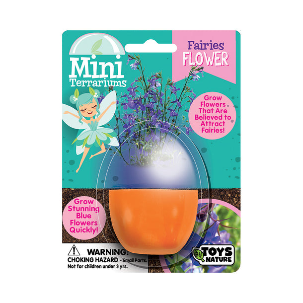 Mini Terrarium - Fairies Flower