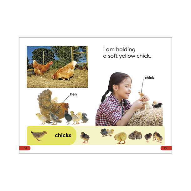DK Super Readers Pre-Level A Day at the Petting Zoo Book
