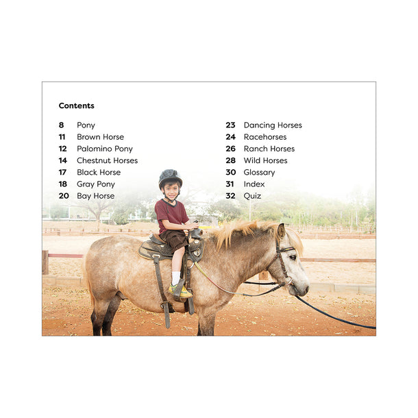 DK Super Readers Level 1 Ponies and Horses Book