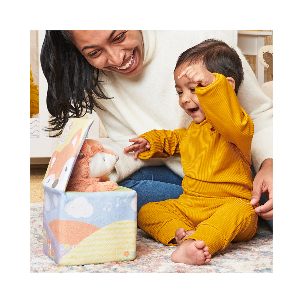 Gund Fox in a Box Plush