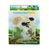 Mastermind Toys Frog Life Cycle Figurines