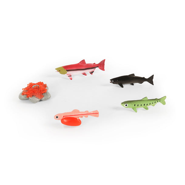 Mastermind Toys Salmon Life Cycle Figurines