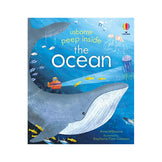 Peep Inside: The Ocean Book