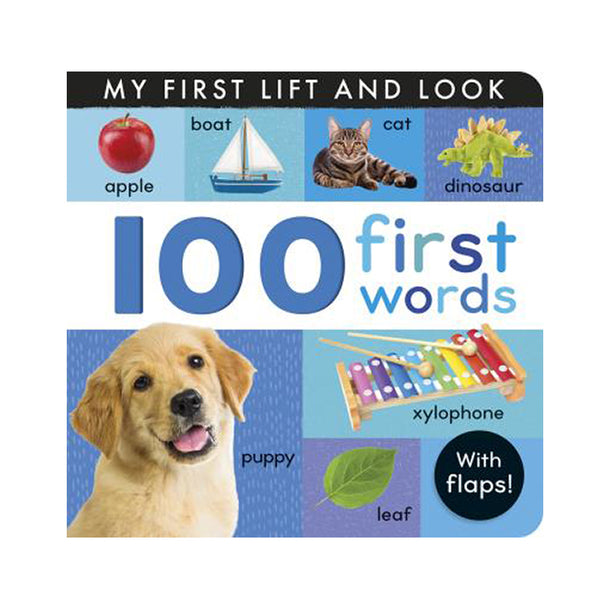 100 First Words My First Lift and Look Book