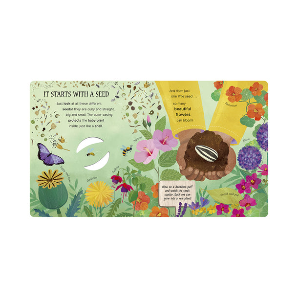 One Little Seed Exploring Nature for Curious Kids Book