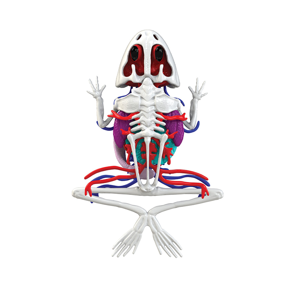 Dissect It Frog Super Lab