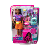 Barbie Doll And Accessories, Barbie “Brooklyn” Roberts, Life In The City