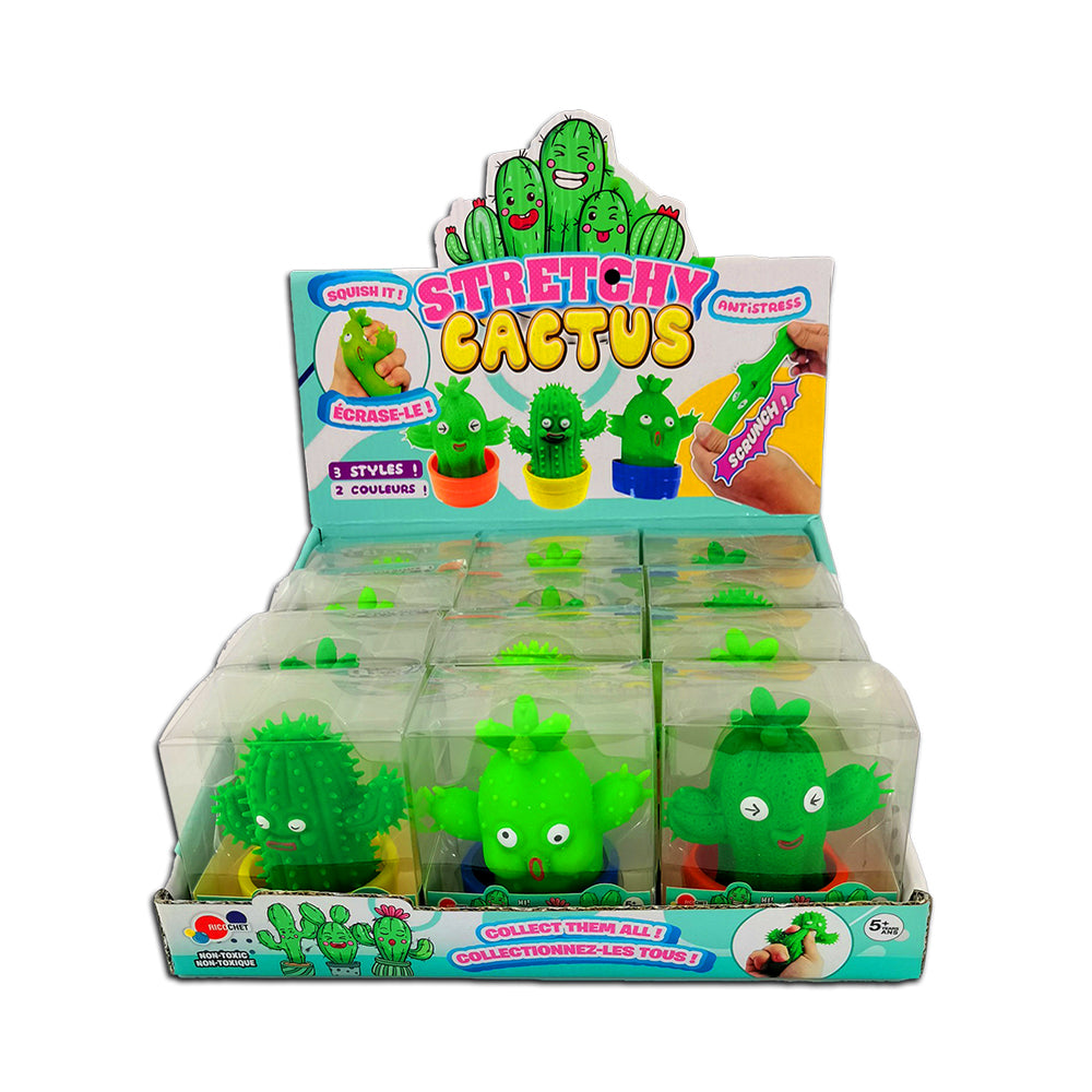 Stretchy Cactus
