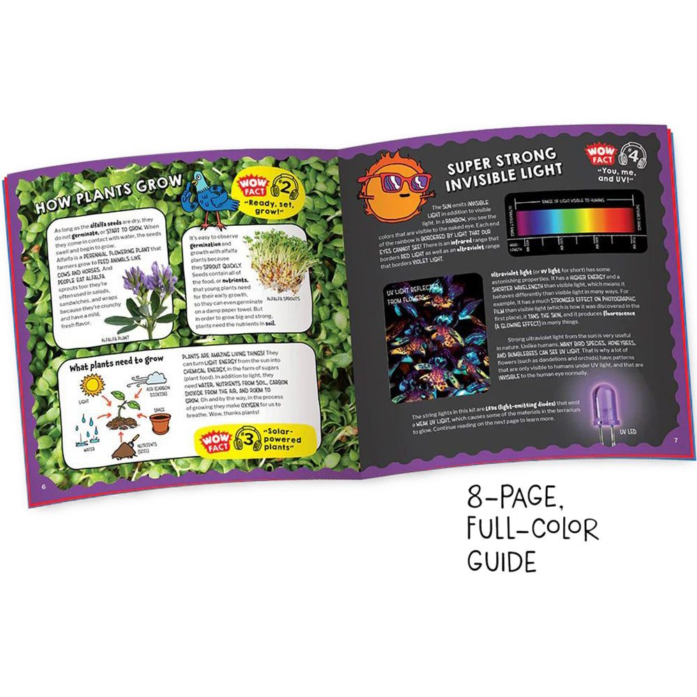 WOW in the World Light-Up Terrarium