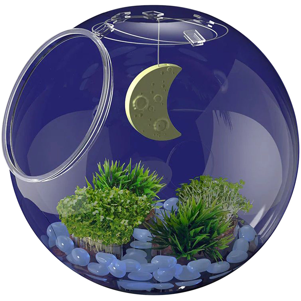 WOW in the World Light-Up Terrarium
