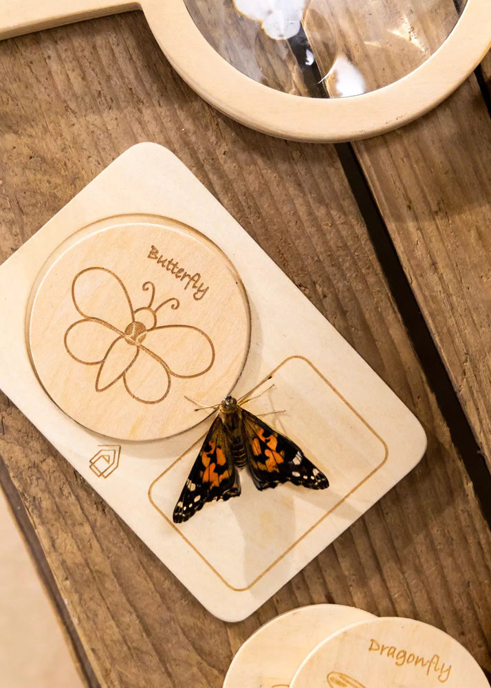 Coco Village Wooden Bug House