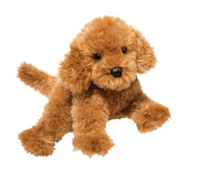 Douglas Addie Caramel Labradoodle