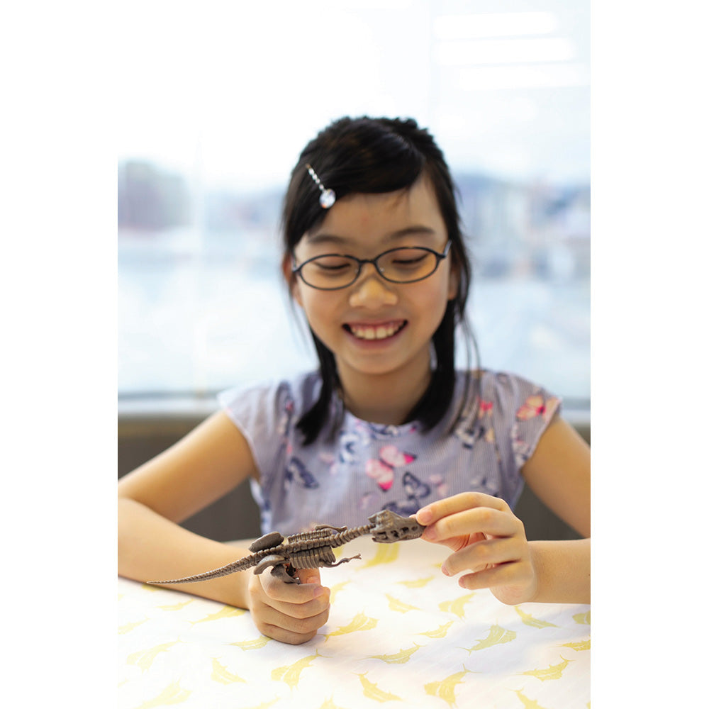 4M KidzLabs Dig a Skeleton Triceratops