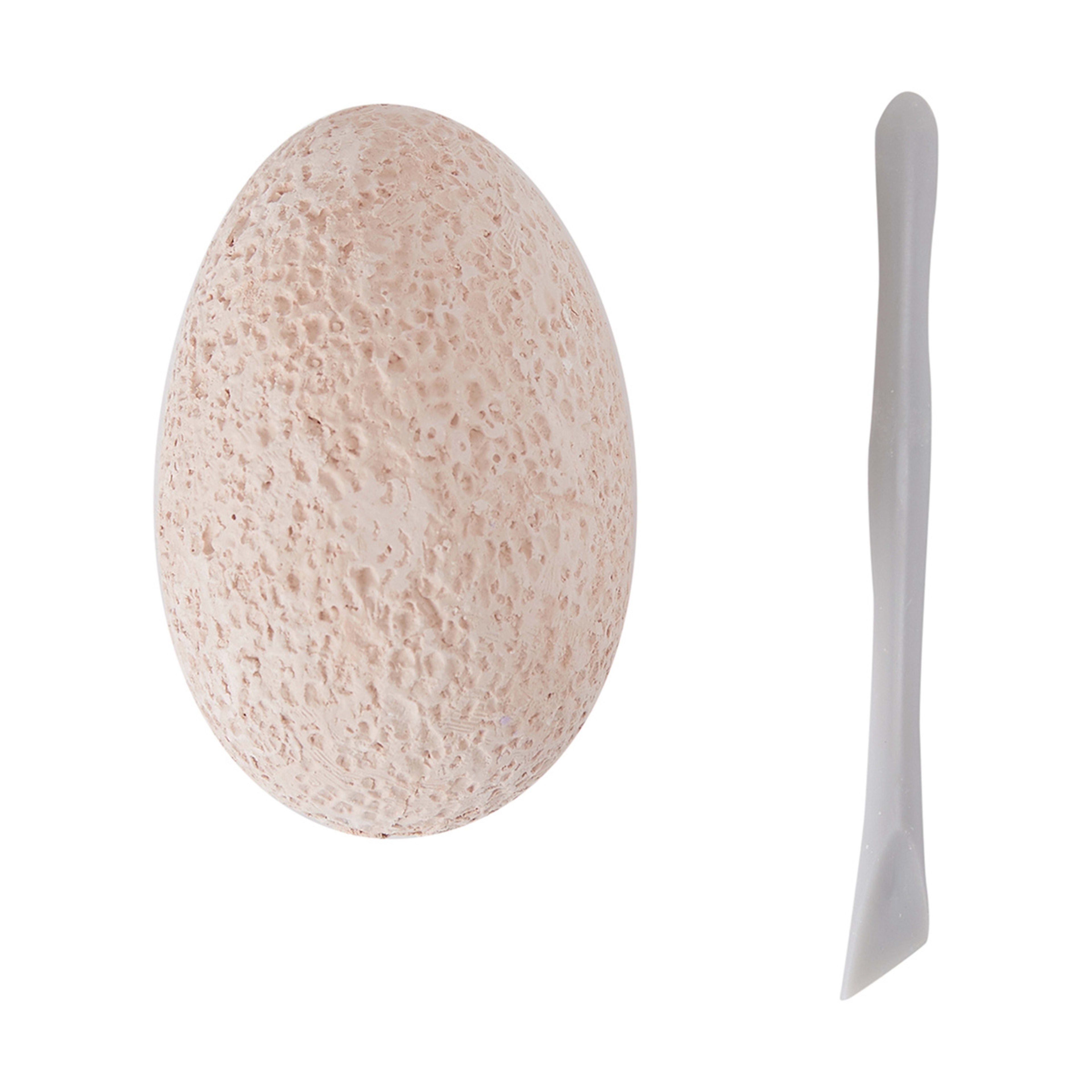 MMT Dinosaur Egg Excavation Set Assorted