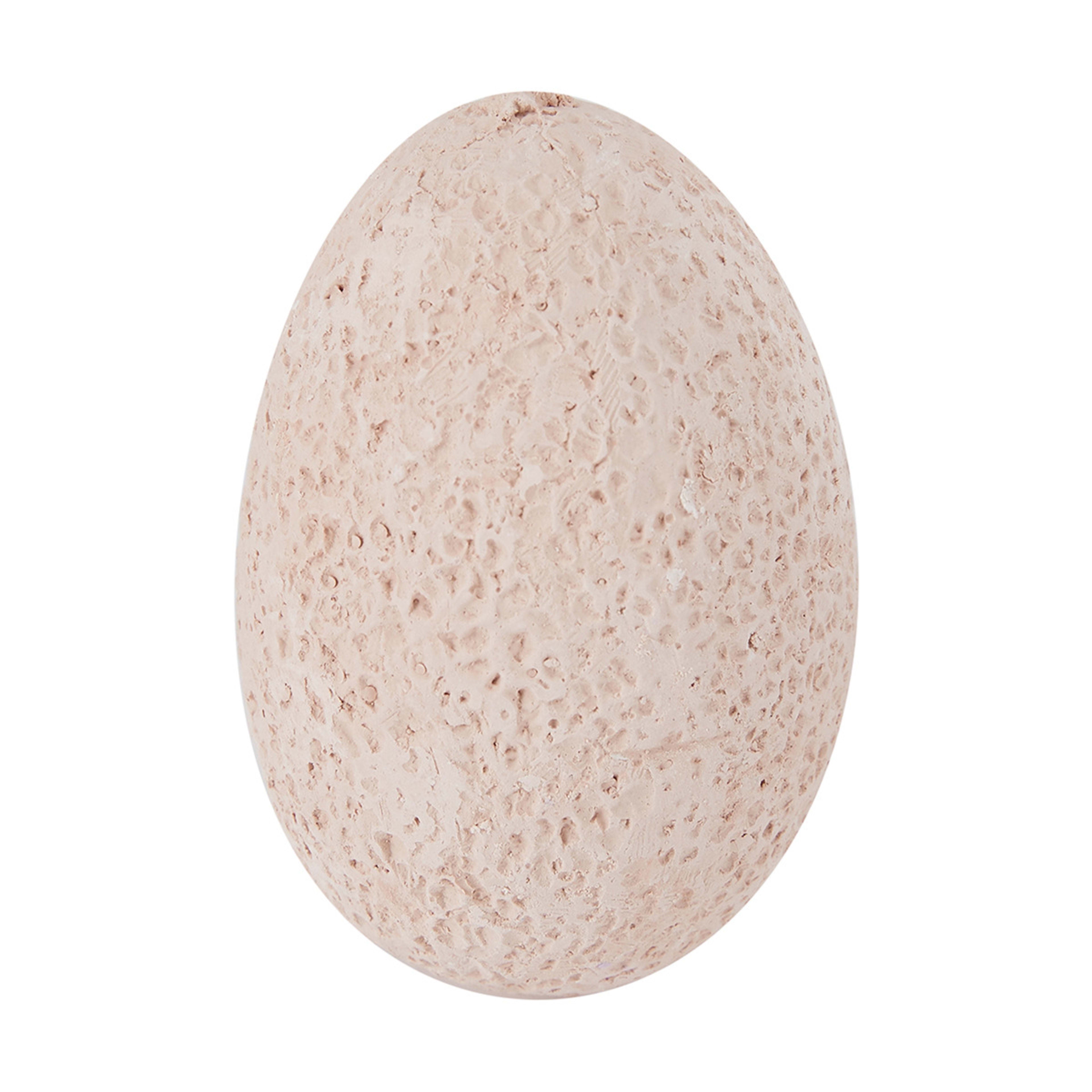 MMT Dinosaur Egg Excavation Set Assorted