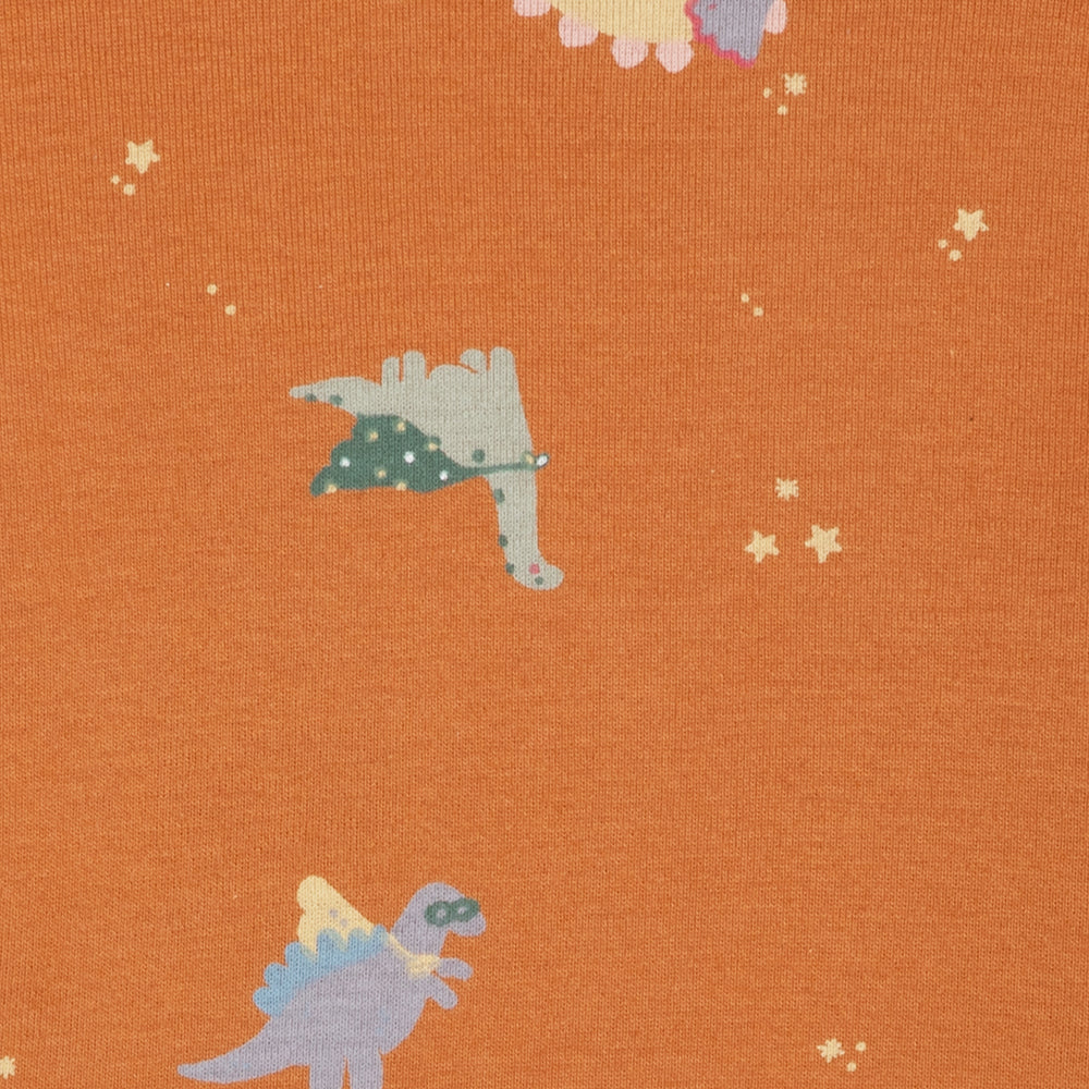 Rise Little Earthling Long Sleeve 2-Piece Sleep Set