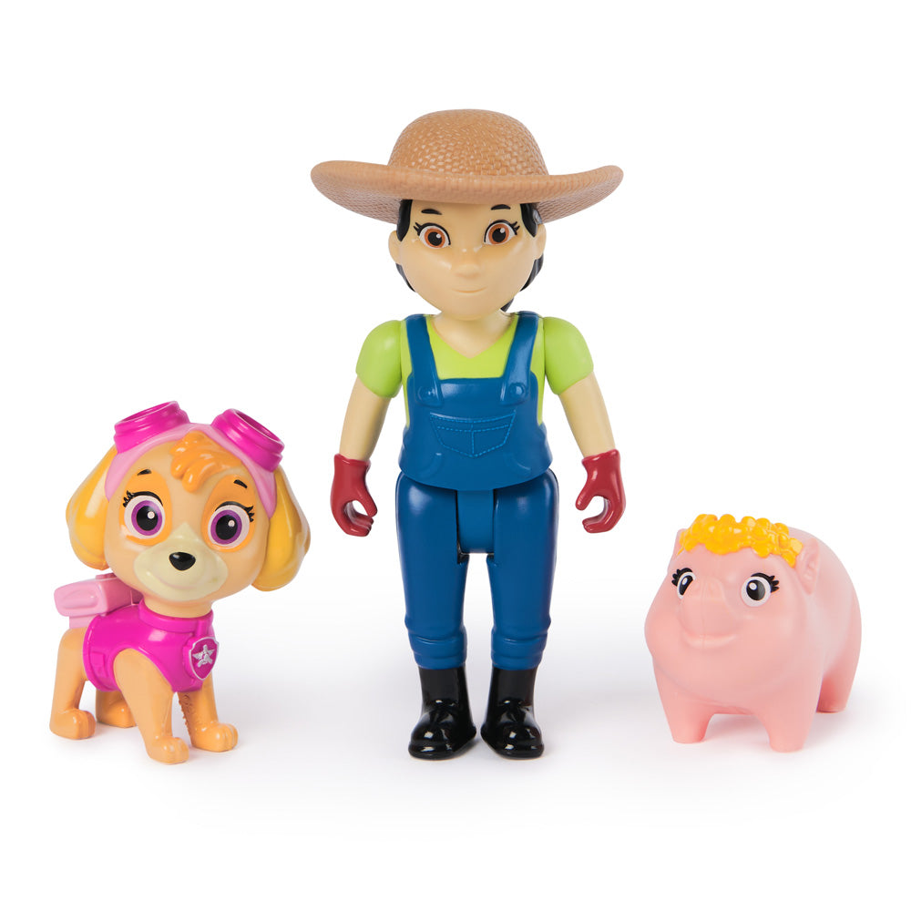 Paw Patrol Hero Pup Core Ast