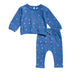 241411_1 - Blue Sheep