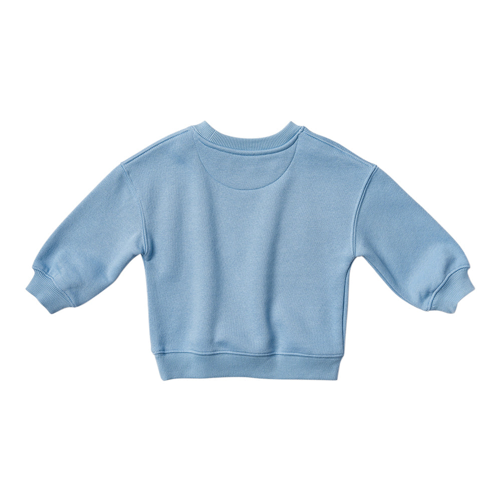 MR Sweatshirt Pink 6-12m