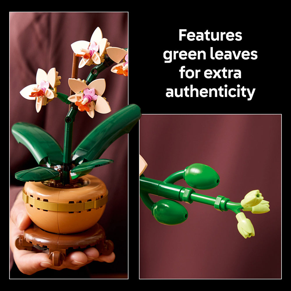 LEGO Botanicals Mini Orchid 10343 – Mastermind Toys