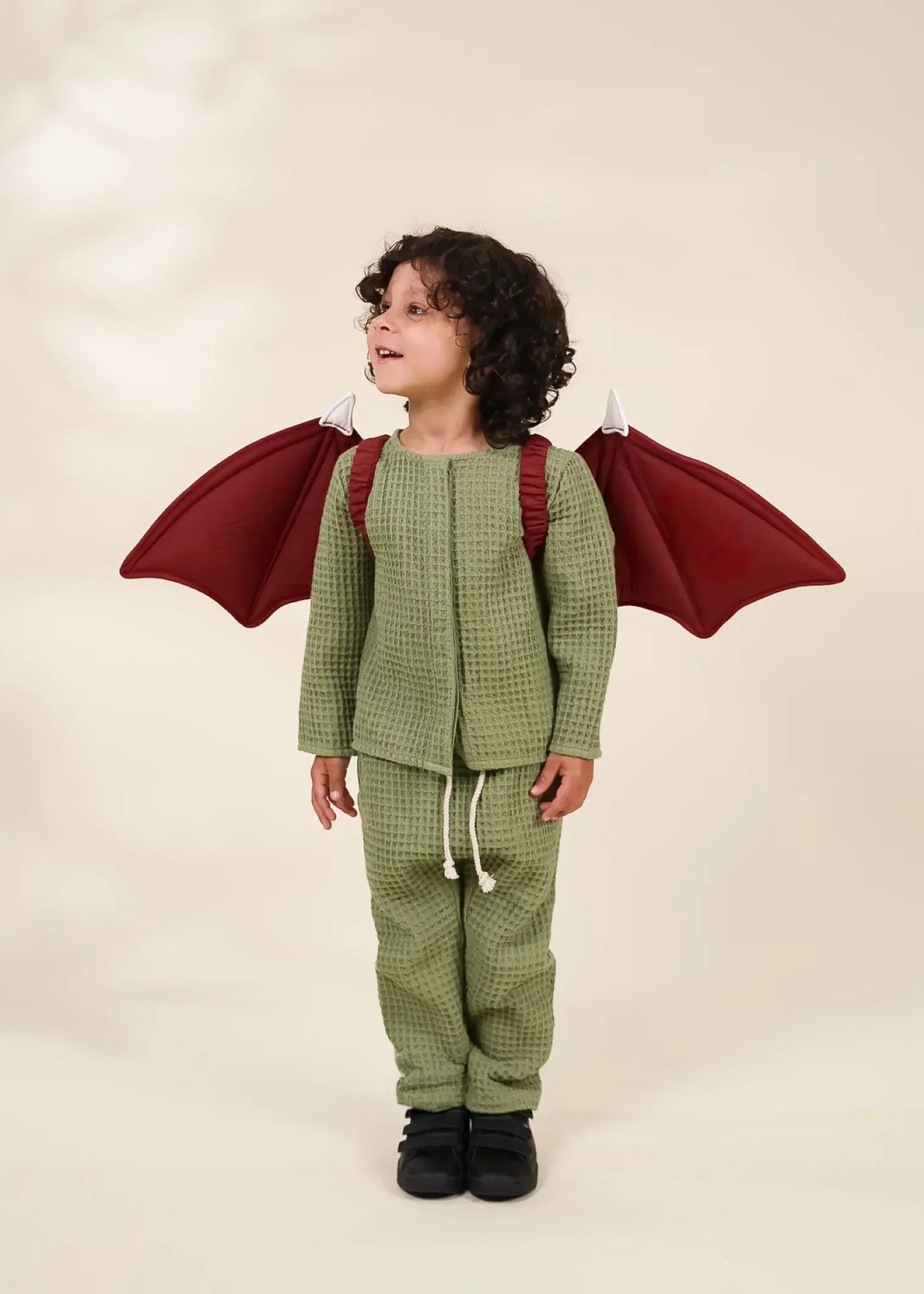 253017__03_Role_Play_Dress-Up_Quilted_Dragon_Wings_Default_Title