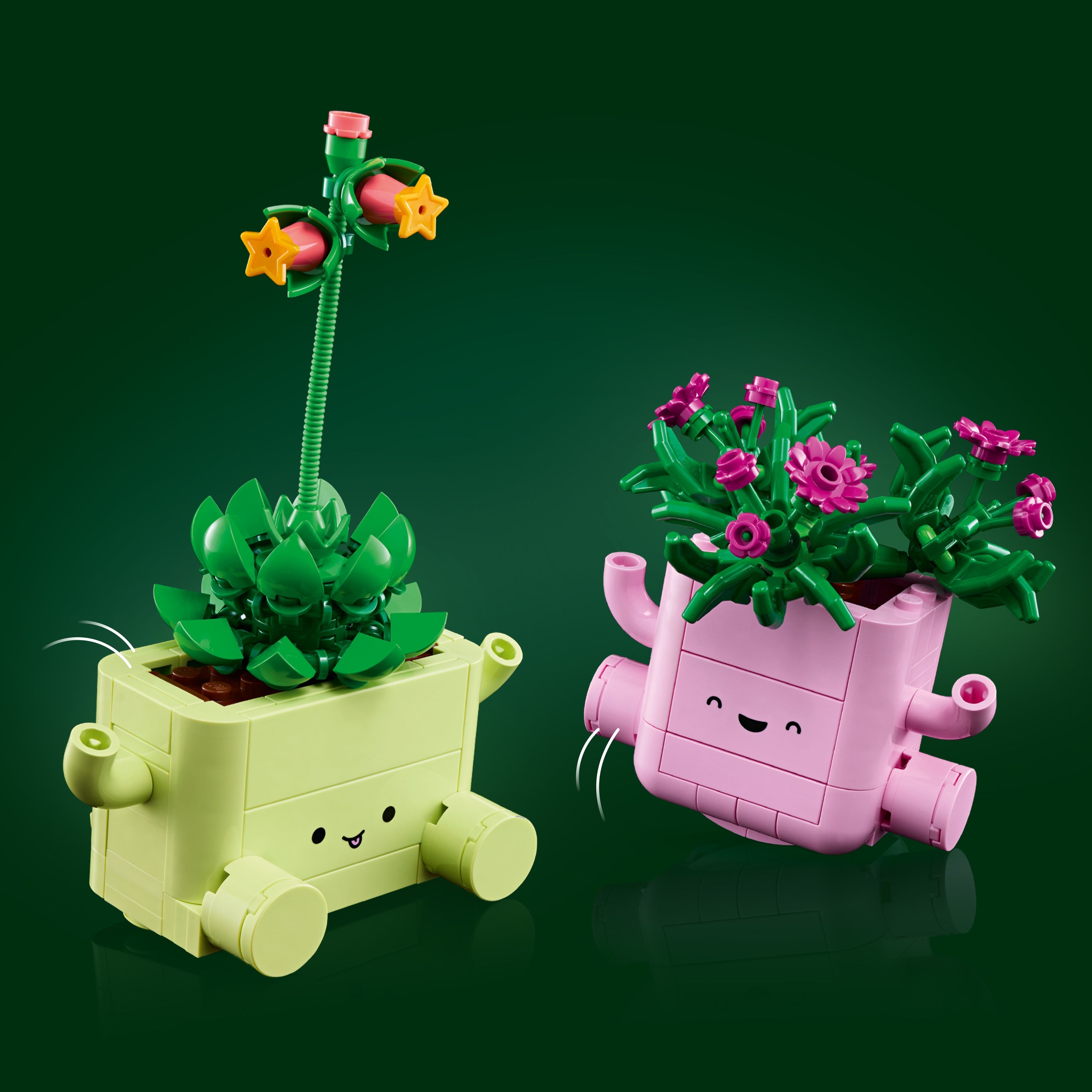 LEGO Botanicals Rocking Plants 11506