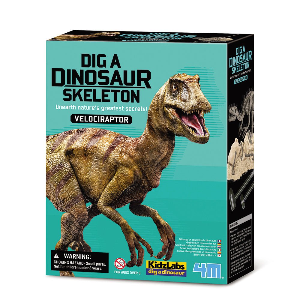 4M KidzLabs/Dig a Skeleton/Velociraptor - Mastermind Toys___234741