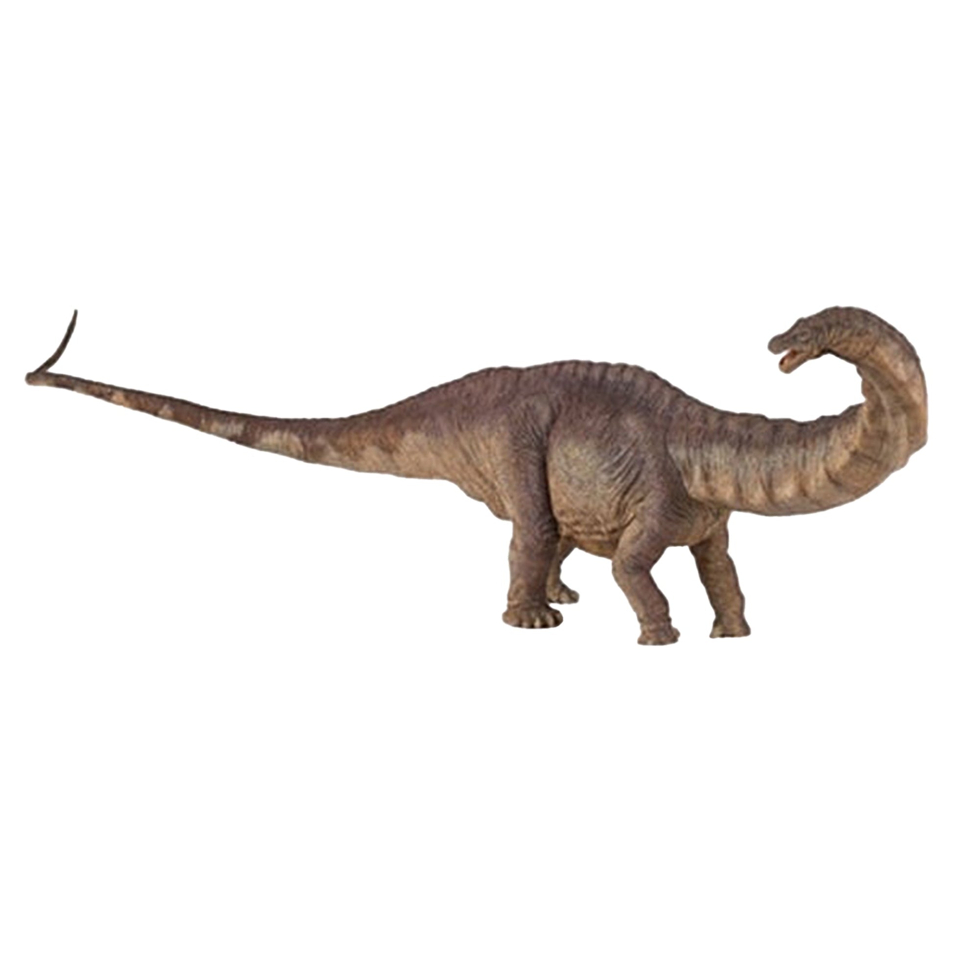Apatosaurus - Mastermind Toys___137656
