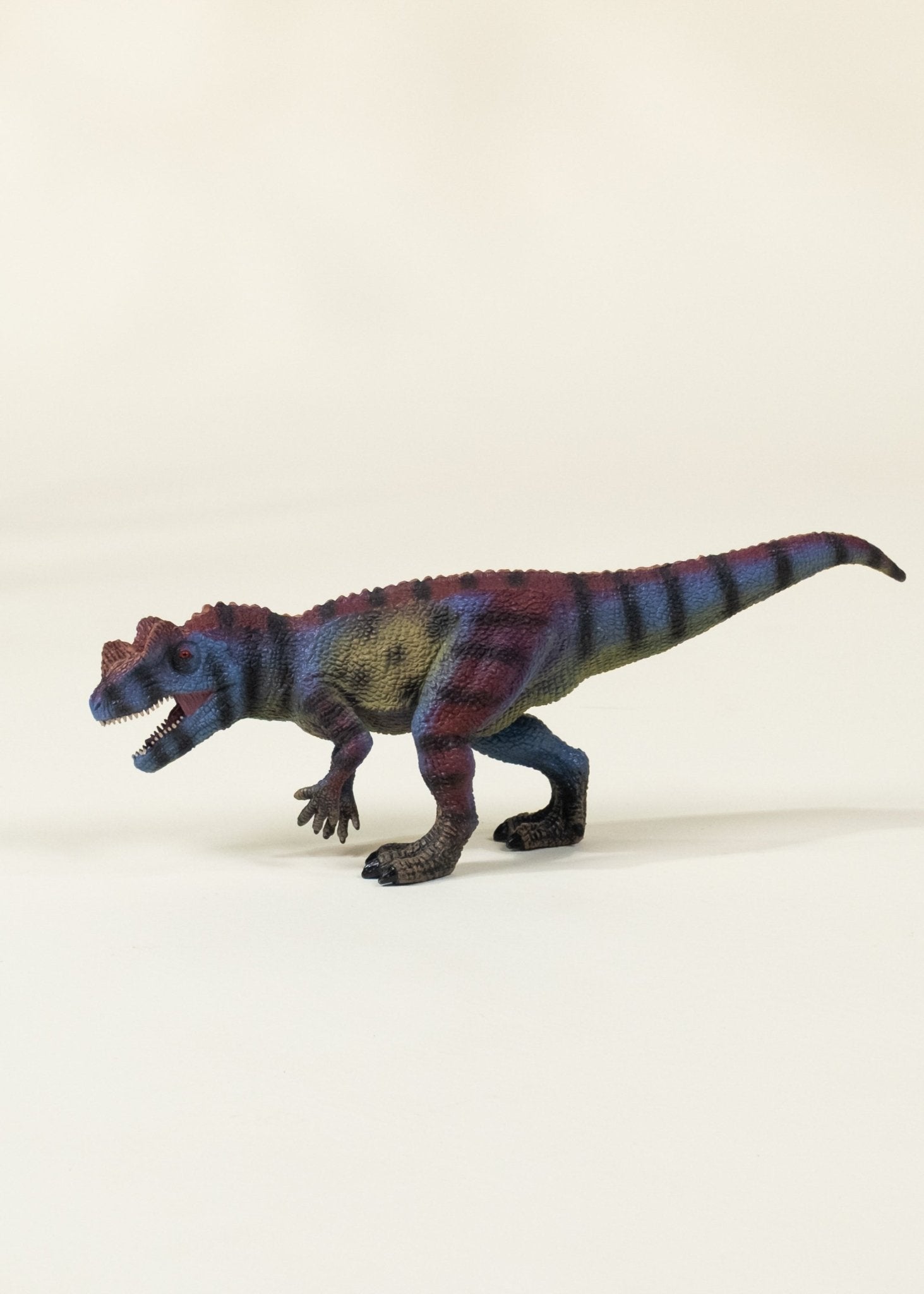 Coco Village Ceratosaurus Dinosaur in a Collectible Box - Mastermind Toys___246695